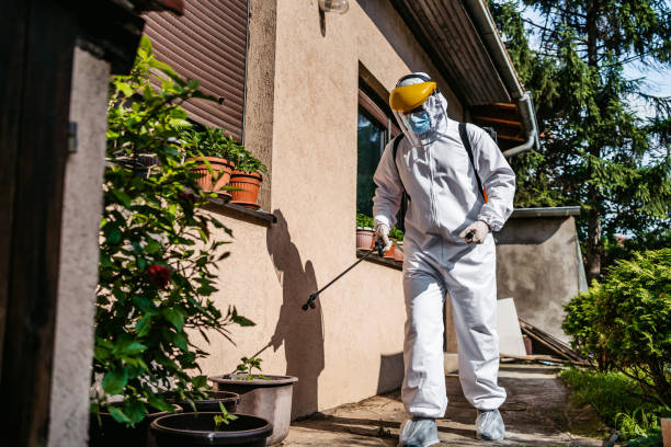 Flea Control Services in Nocatee, FL