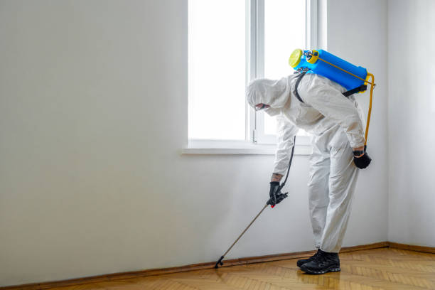 Best Best Pest Control Companies  in Nocatee, FL