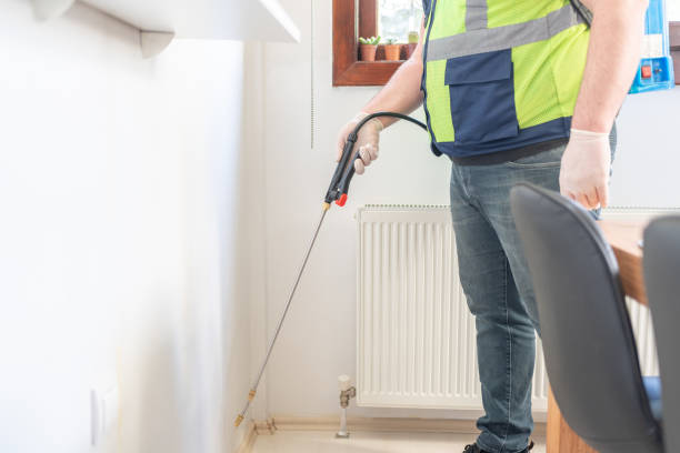 Best Local Pest Control Services  in Nocatee, FL