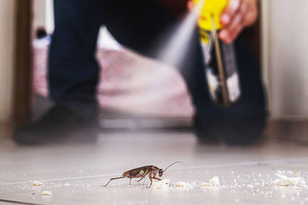 Professional Pest Control in Nocatee, FL