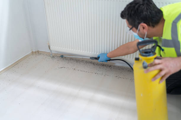 Best Emergency Pest Control  in Nocatee, FL